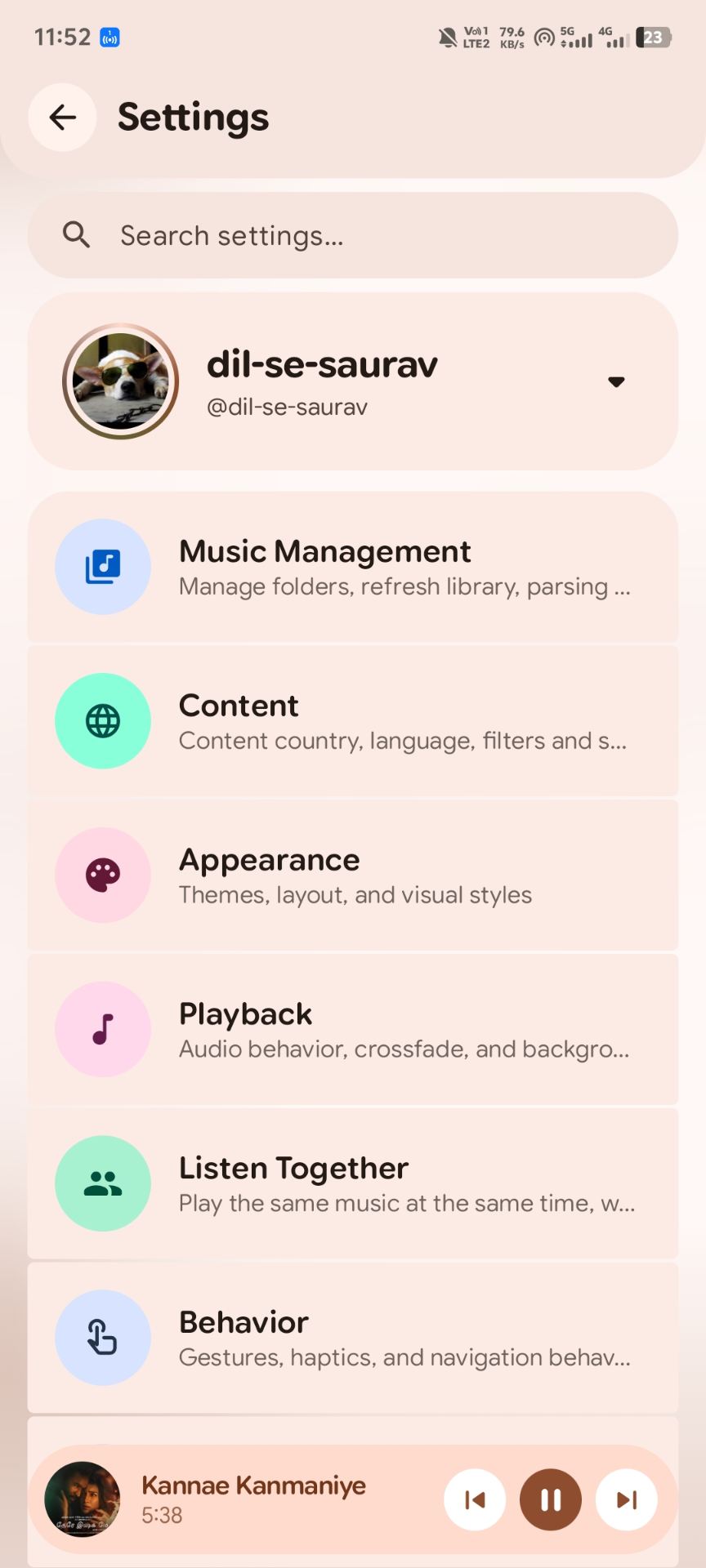 Audio Settings & Controls